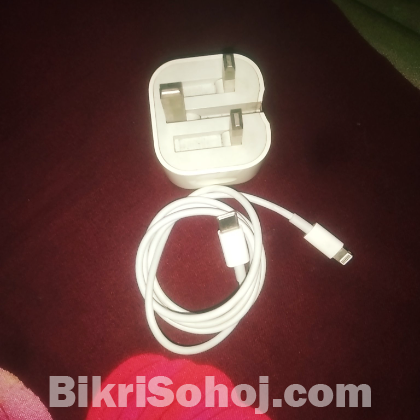 Apple er original charger
